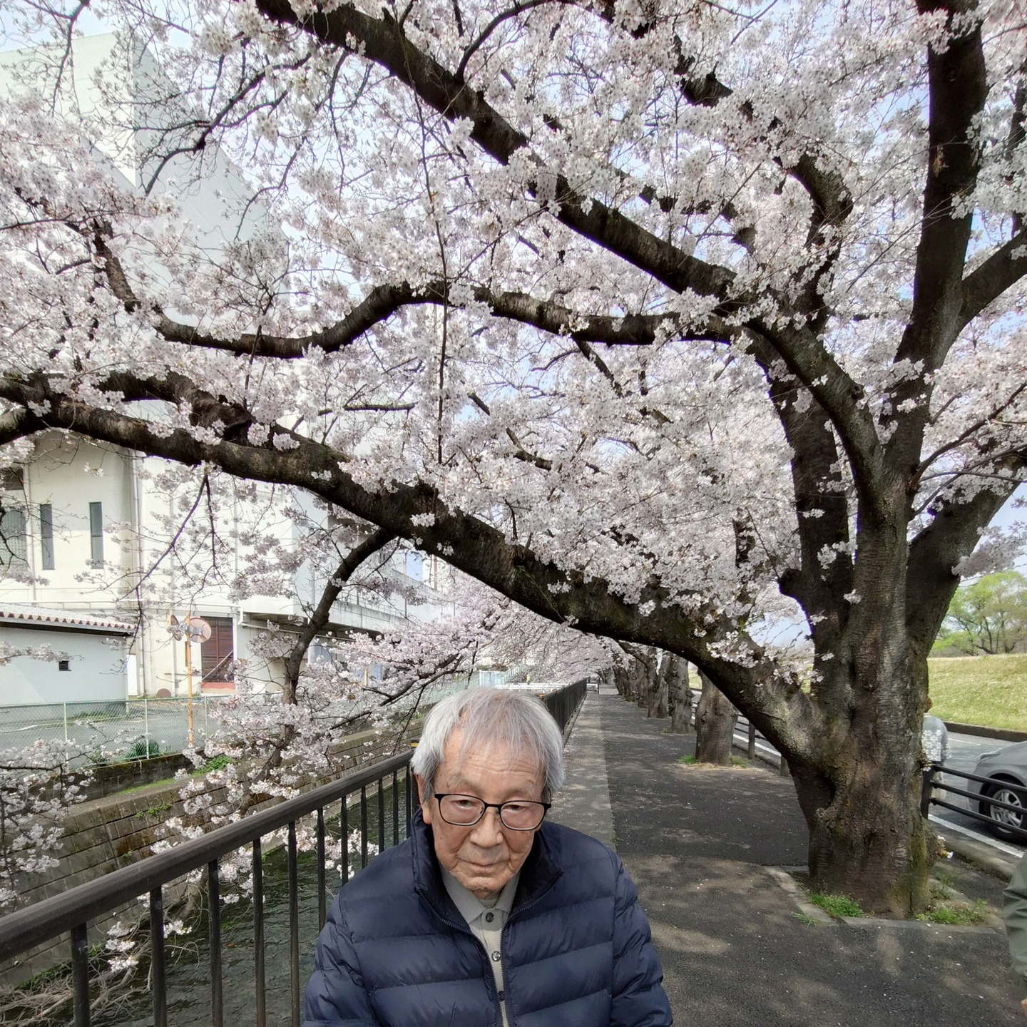 【さくらドライブ　日野】