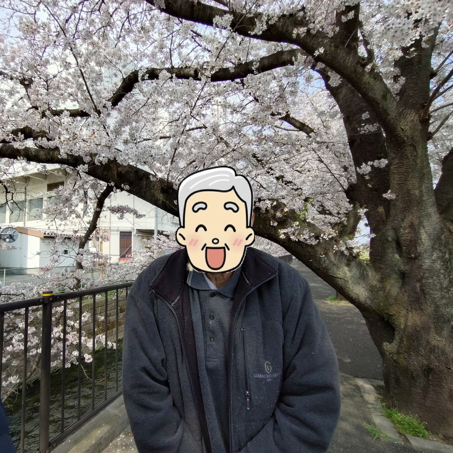 【さくらドライブ　日野】