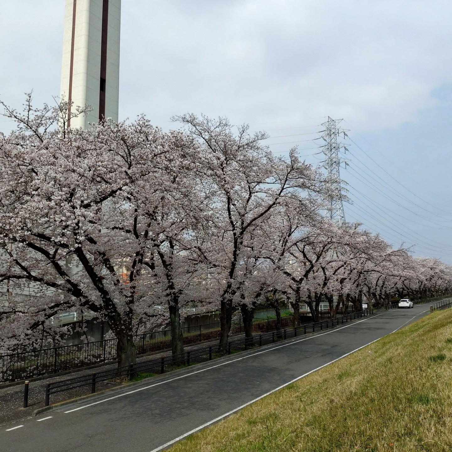 【さくらドライブ　日野】