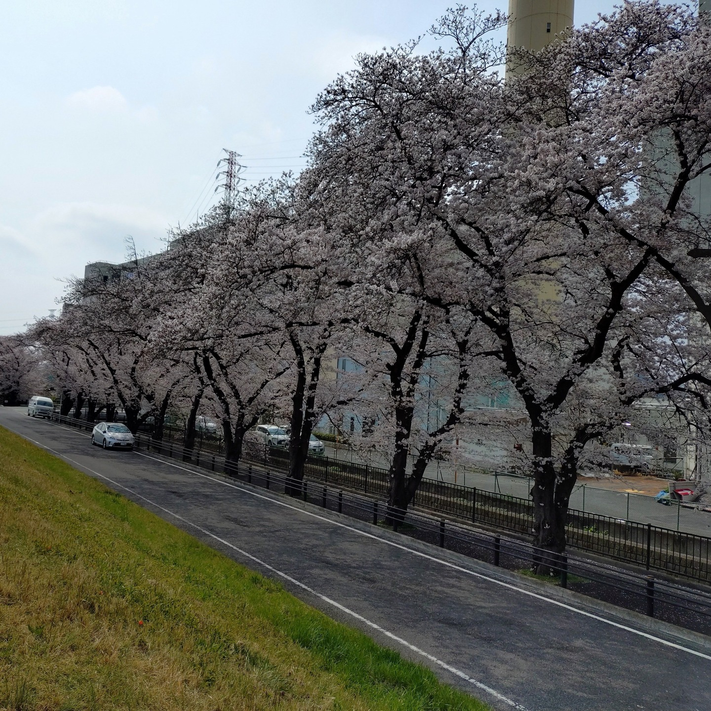 【さくらドライブ　日野】