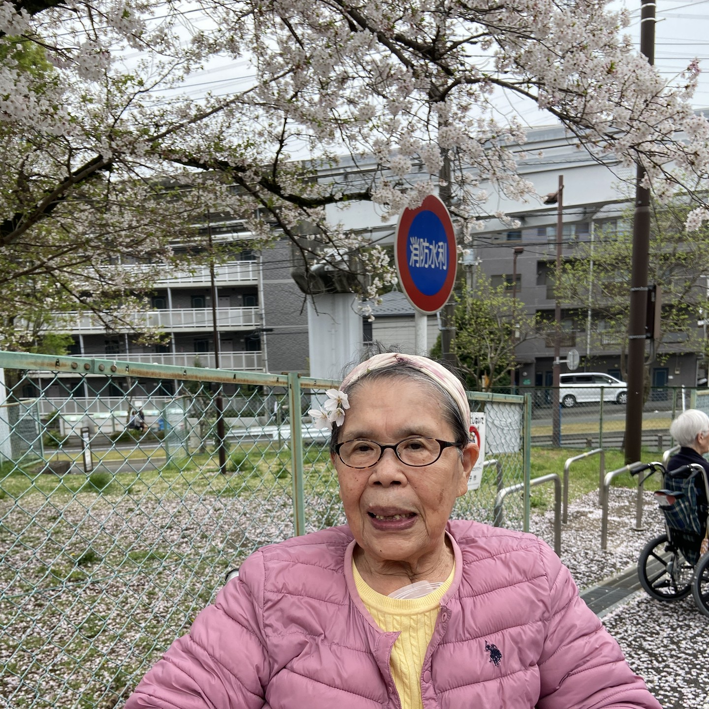 【お花見　公園】