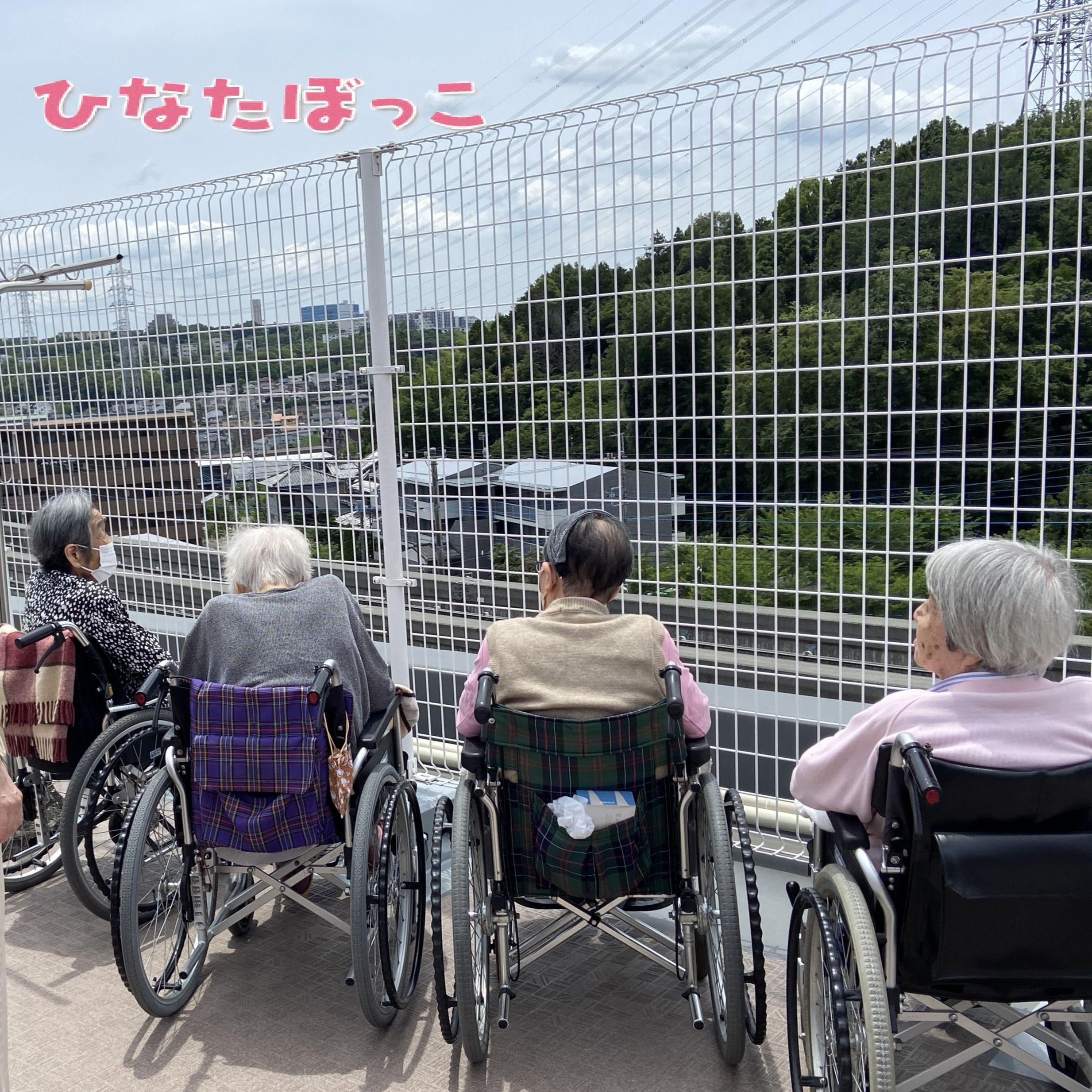 【ピクニックランチ】