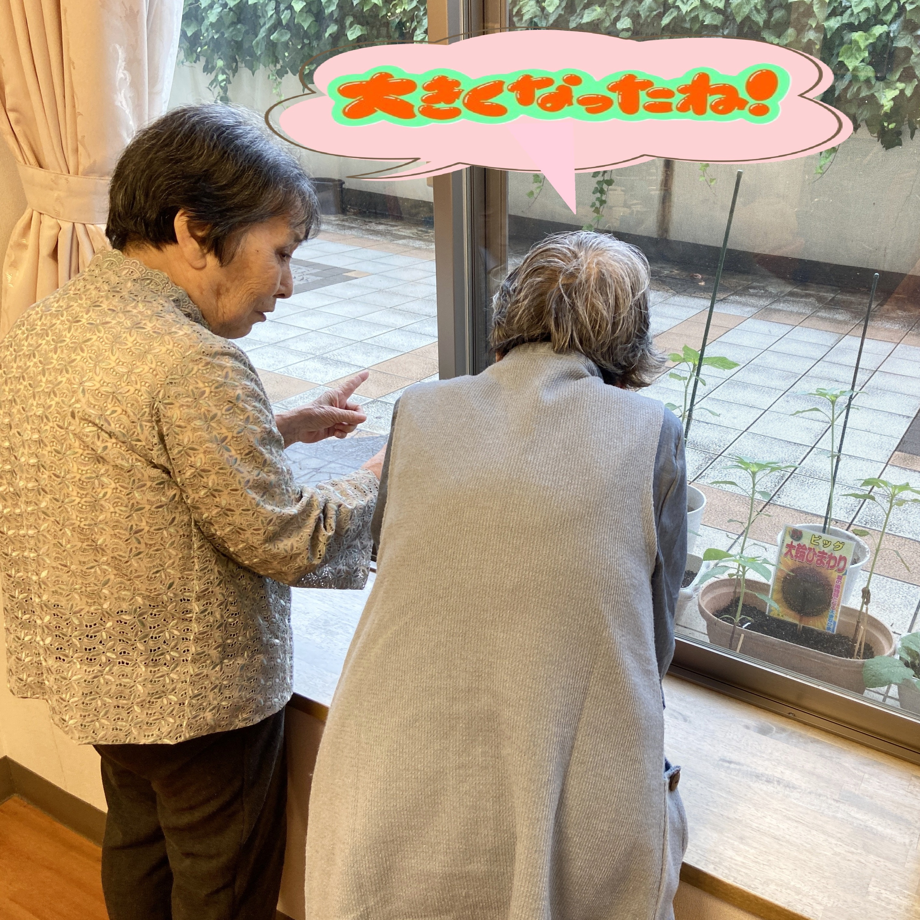 【園芸サークル6月】①