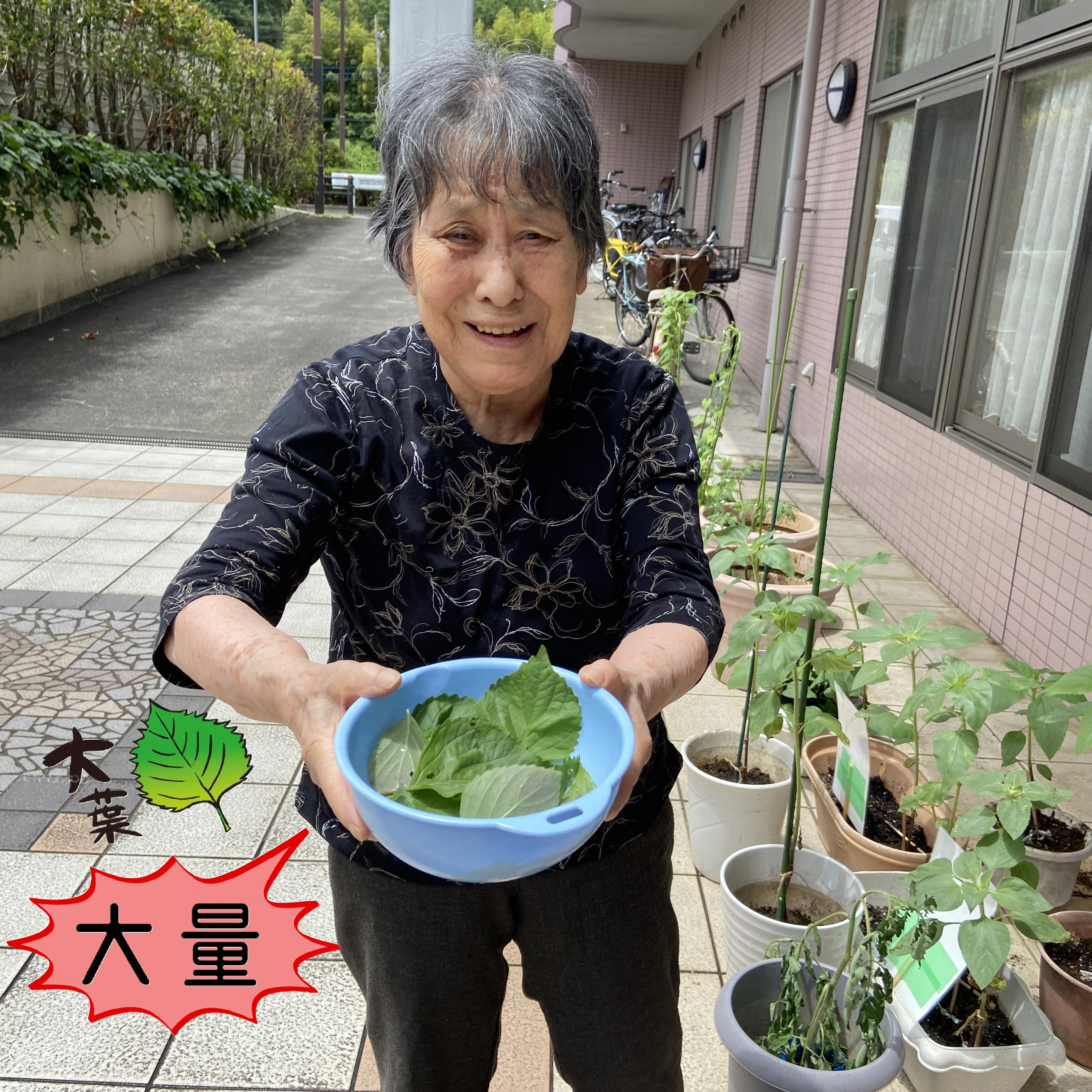 【園芸サークル6月】②