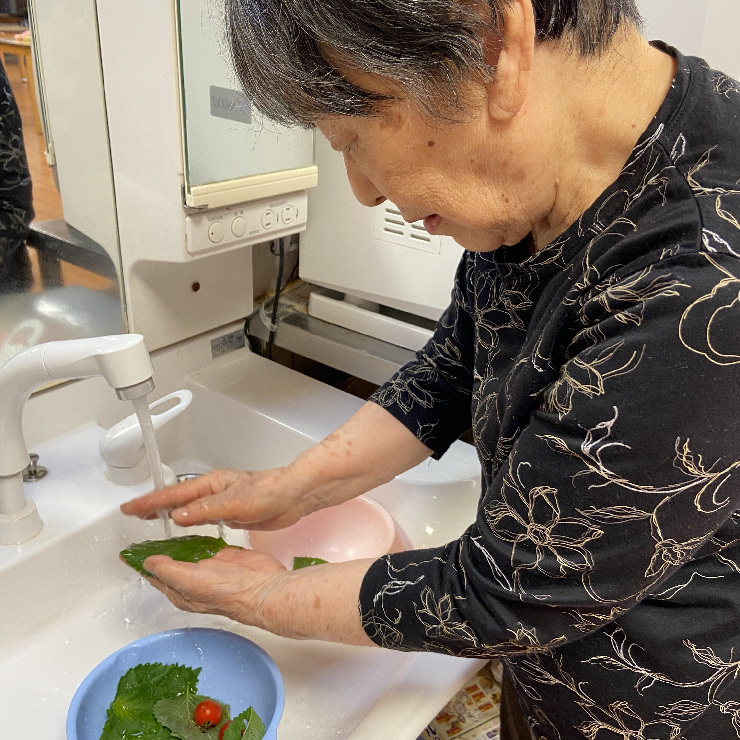 【園芸サークル6月】②