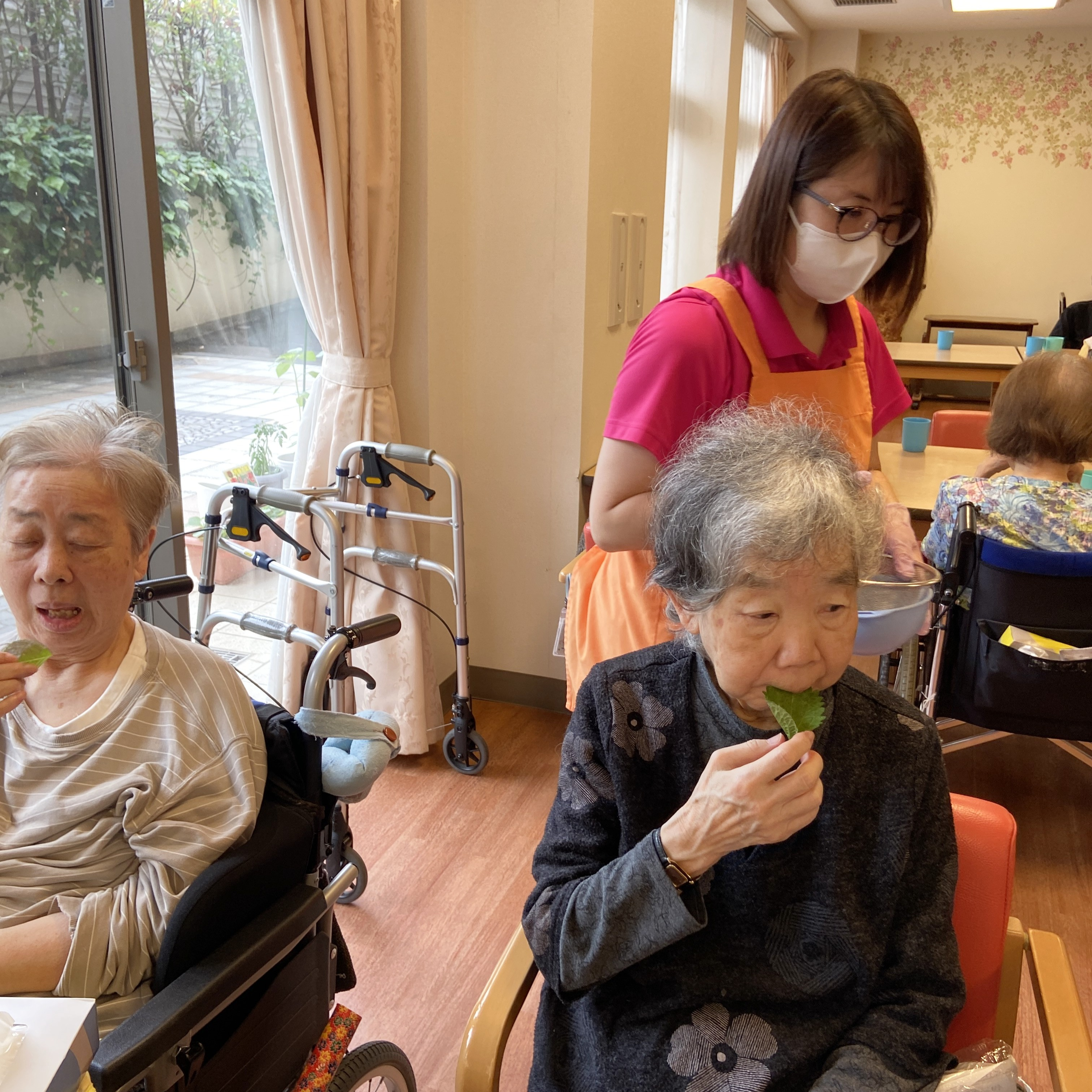 【園芸サークル6月】②