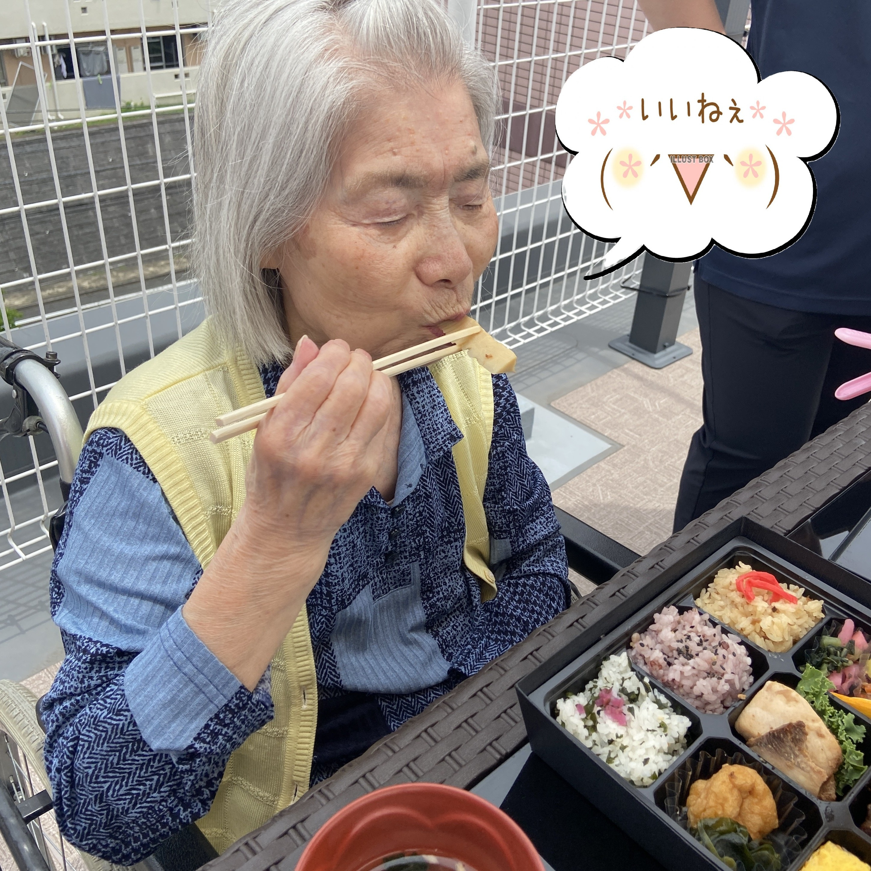 【ピクニックランチ】