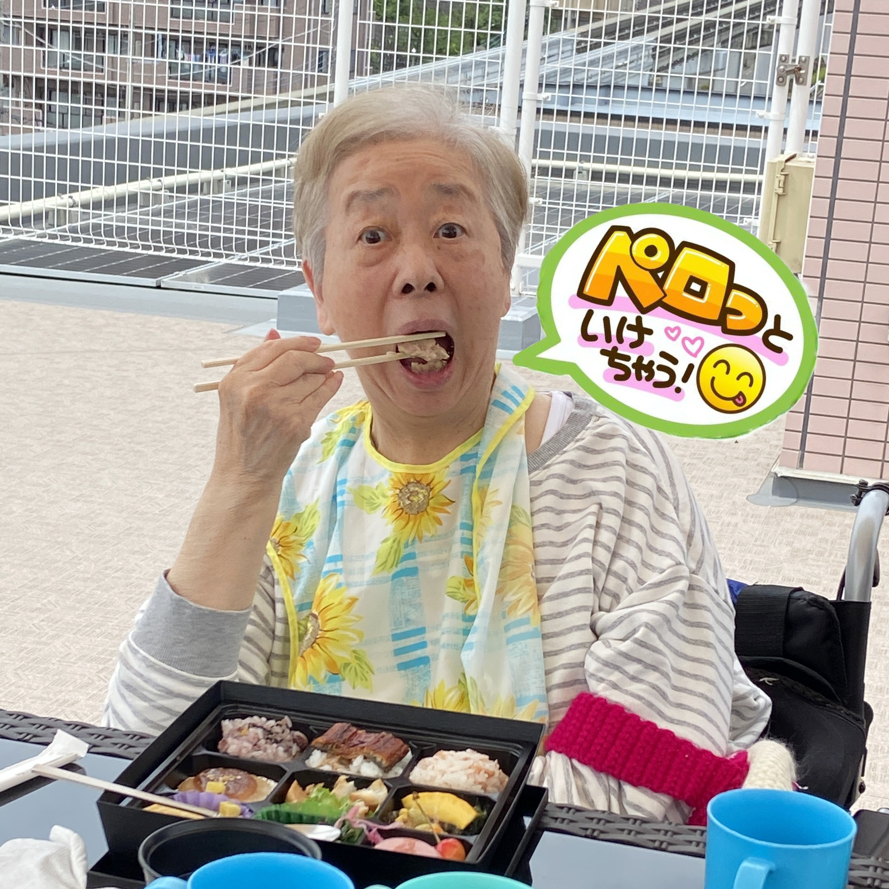 【ピクニックランチ】