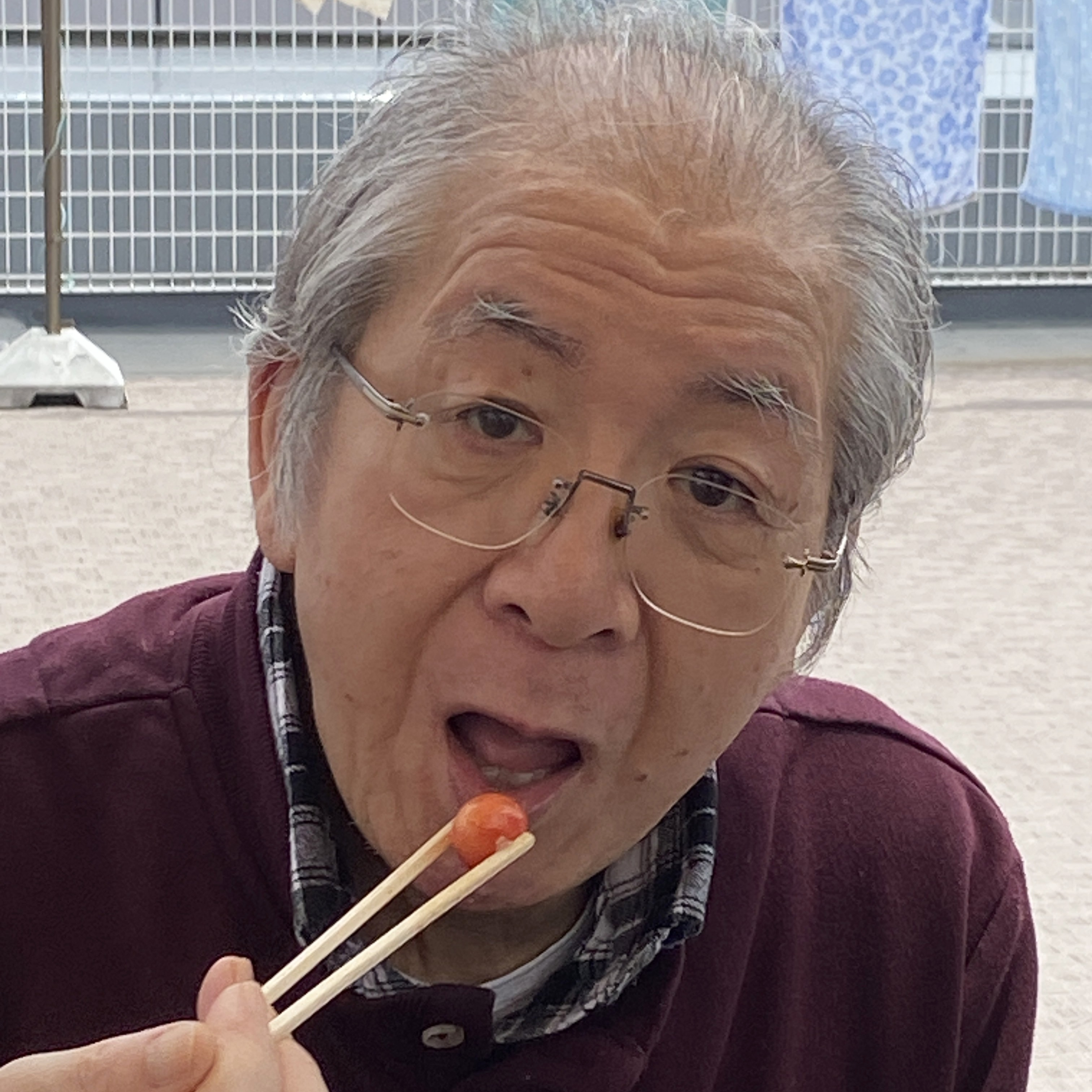【ピクニックランチ】