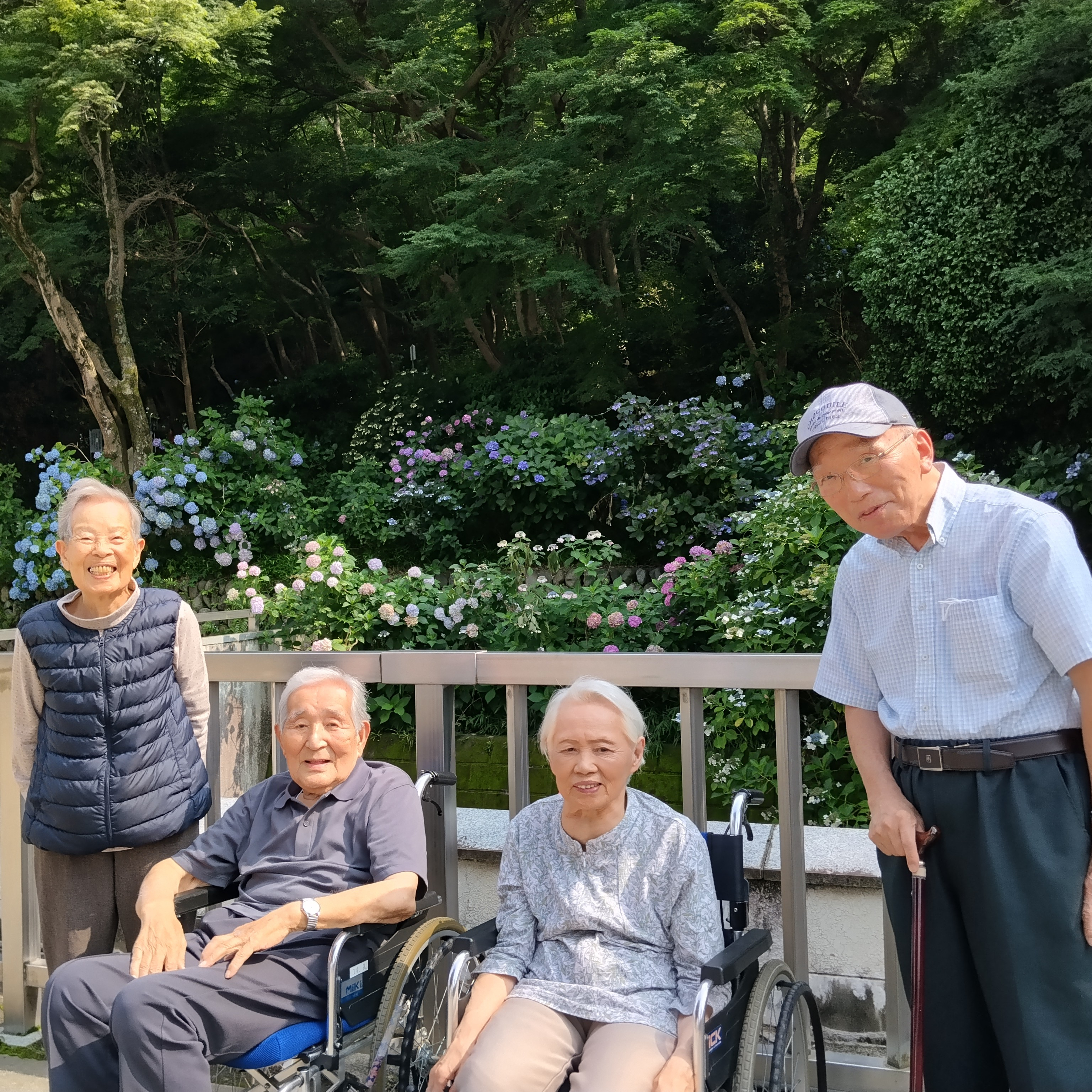 【あじさいツアー】
