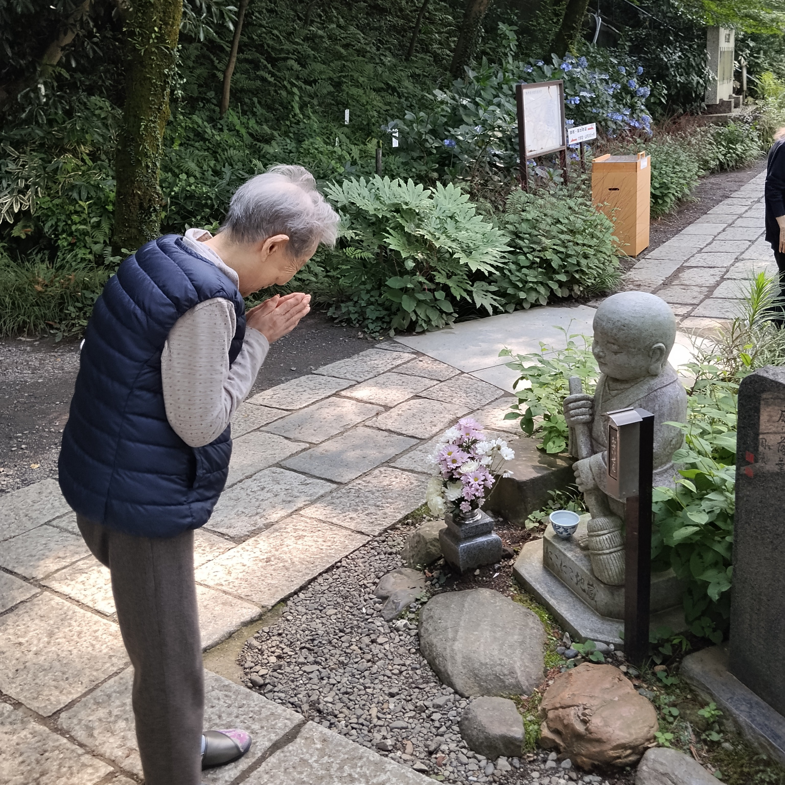 【あじさいツアー】