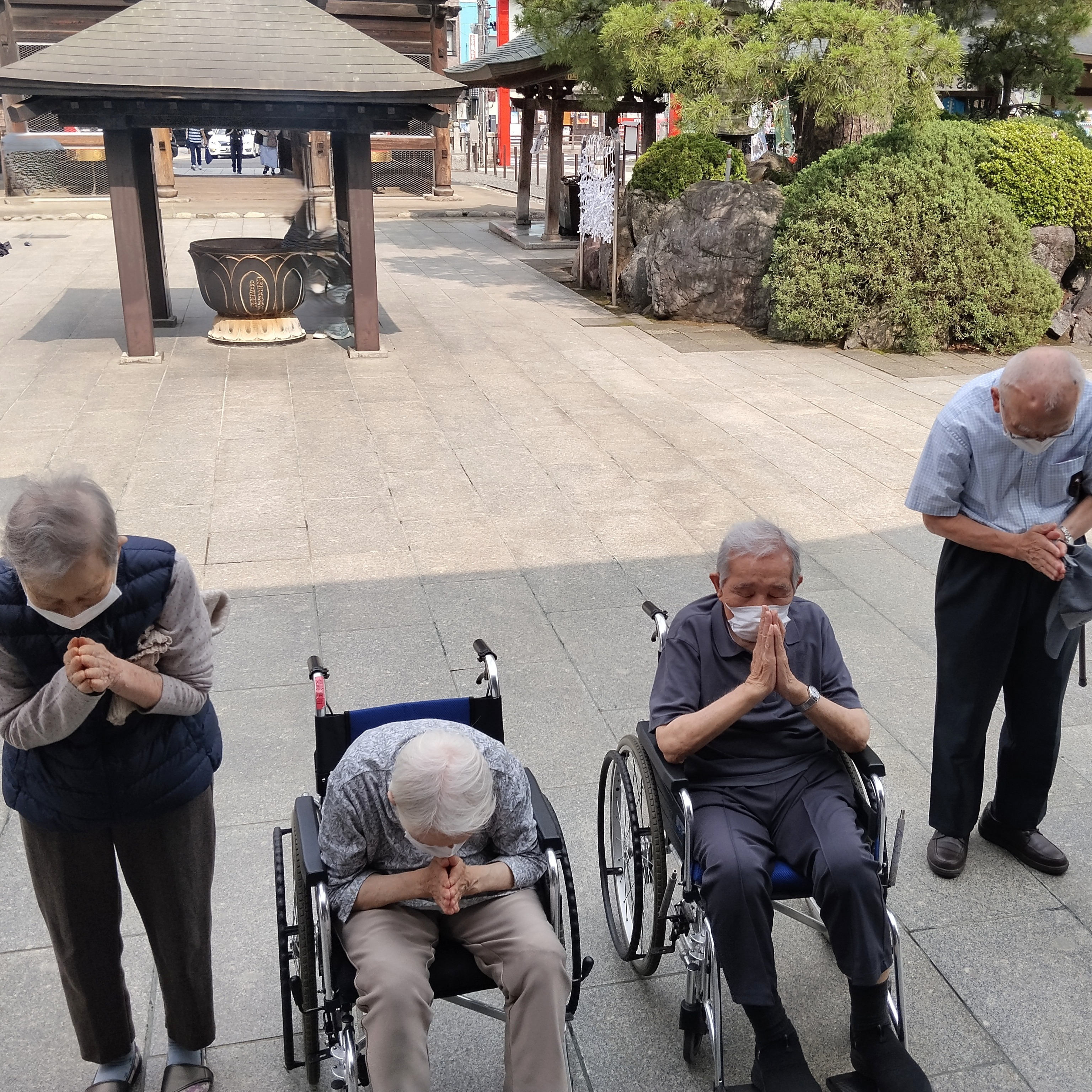 【あじさいツアー】