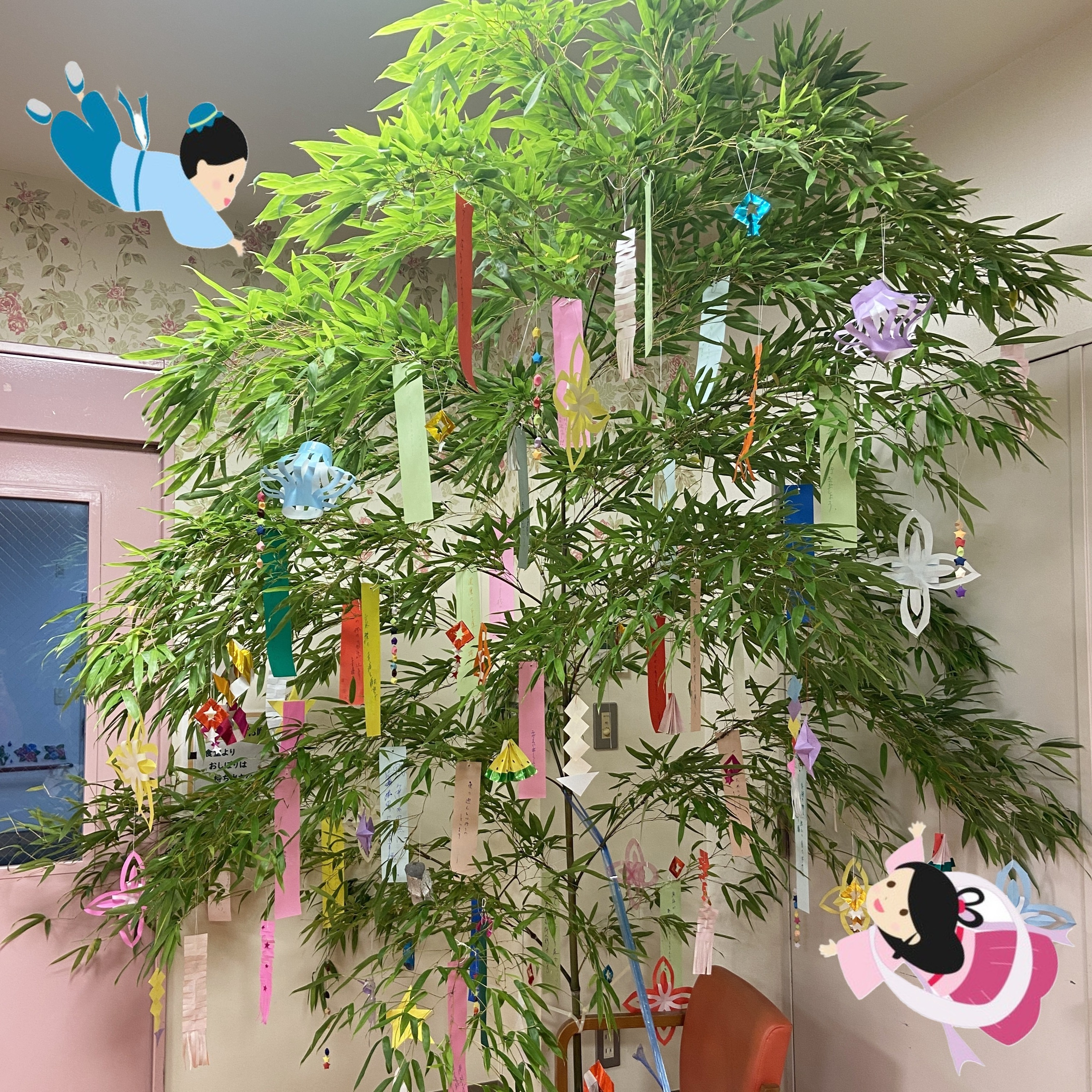 【七夕会🎋】
