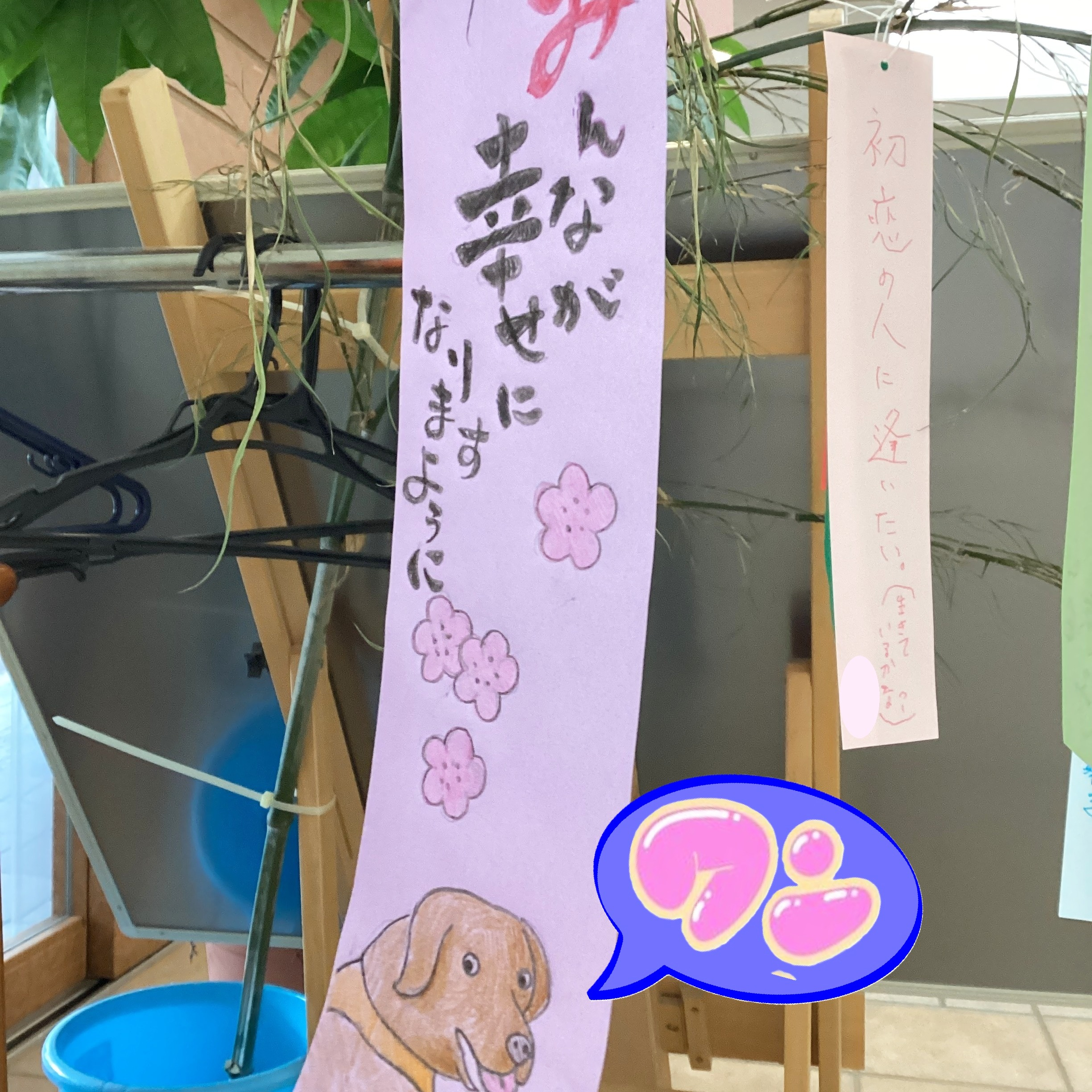 【七夕会🎋】