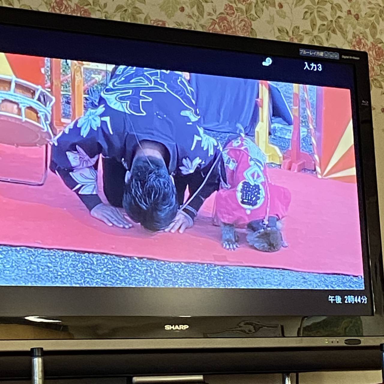 【日光猿軍団&どんぐりころころ手話練習】